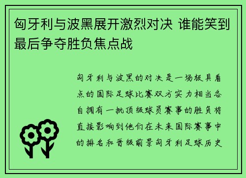 匈牙利与波黑展开激烈对决 谁能笑到最后争夺胜负焦点战